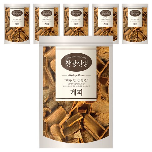 한방선생 사각 계피, 100g, 1개입, 6개