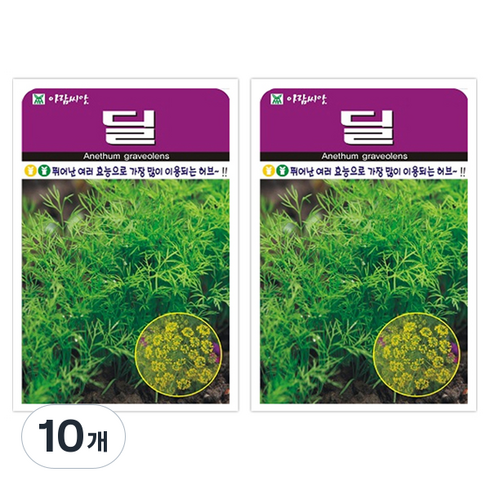 아람종묘 허브 딜 씨앗, 10개