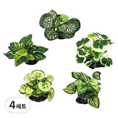 샘아쿠아 리프레쉬 화이트핀토 코인 나나 인조수초 5종 세트, 4세트