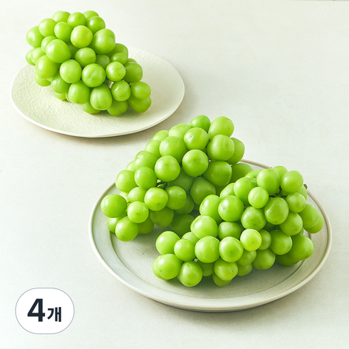 다조은 비파괴당도선별 샤인머스캣, 2kg, 4개