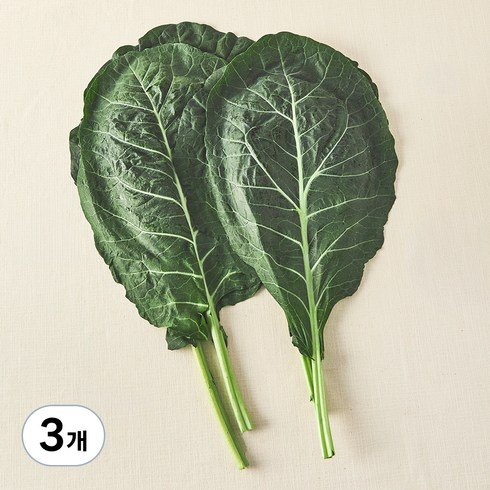 유기농 녹즙용 케일, 500g, 3개