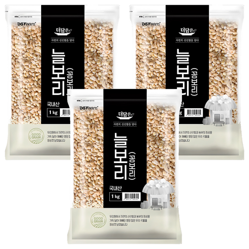 더담은 국산 늘보리 꽁보리, 1kg, 3개