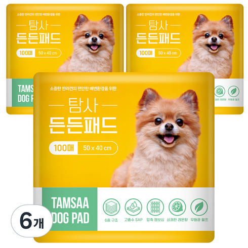 탐사 고흡수 든든패드 레몬향, 100개입, 6개