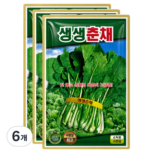 씨앗팜 월동 춘채씨앗 6000p, 6개