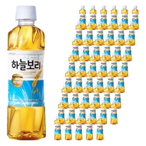 하늘보리, 325ml, 48개