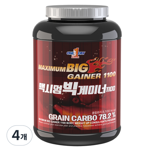 원데이뉴트리션 맥시멈 빅 게이너 1100, 2kg, 4개