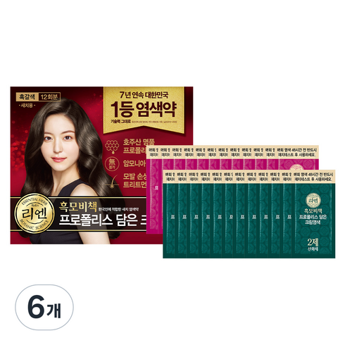 리엔 흑모비책 프로폴리스 담은 크림 염색제 새치용 12회분, 흑갈색, 6개