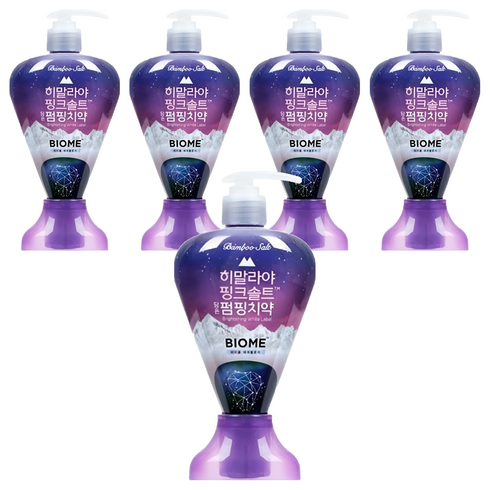 히말라야핑크솔트담은 브라이트닝화이트 펌핑치약, 285g, 5개
