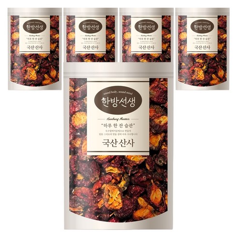 한방선생 산사, 150g, 5개