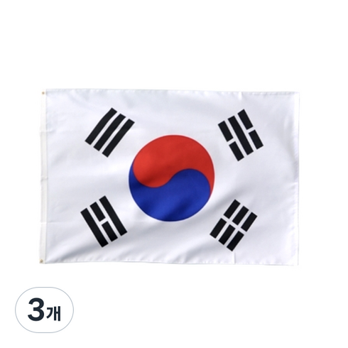 리빙다 태극기 6호 + 끈 2개, 혼합색상, 3개