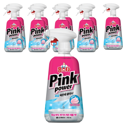 홈스타 핑크파워 욕실 찌든때 클리너, 10개, 750ml