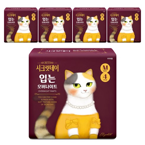 시크릿데이 하트 입는 오버나이트 팬티, 중형, 4개입, 5개