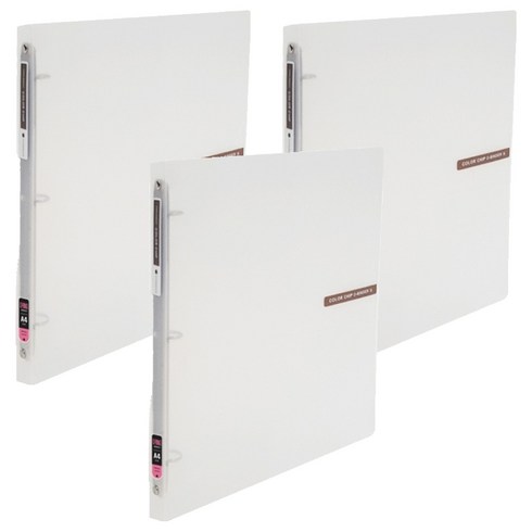 에코청운 칼라칩 미니 O링 바인더 3공 A4 2cm, 투명, 3개