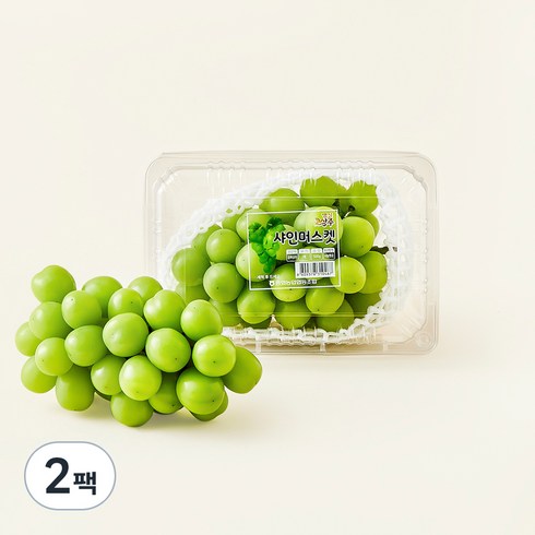 중화농협 상주 고당도 샤인머스캣, 500g, 2팩