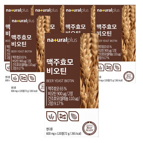 내츄럴플러스 맥주효모 비오틴, 120정, 6개