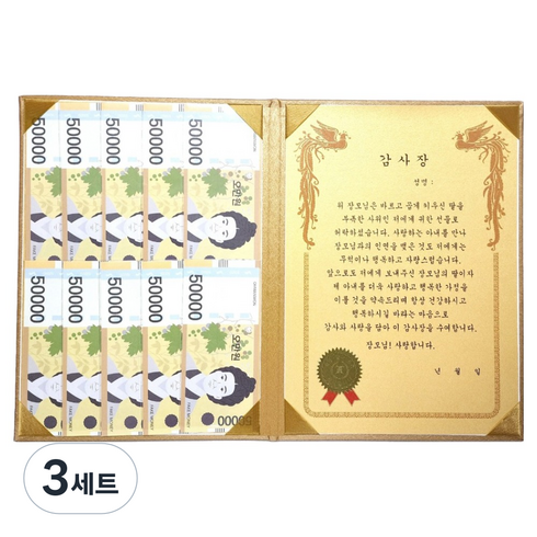 럭키심볼 황금 카네이션 숨어있는 용돈 DIY 속지 + 감사장 케이스 세트, 장모님, 3세트