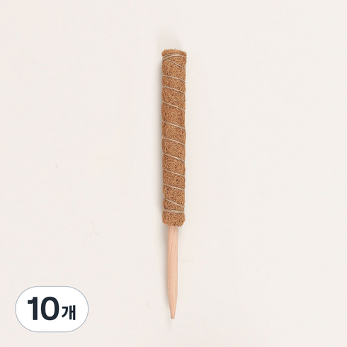 플레노 코코봉 식물지지대 우드 슬림형 40cm, 10개