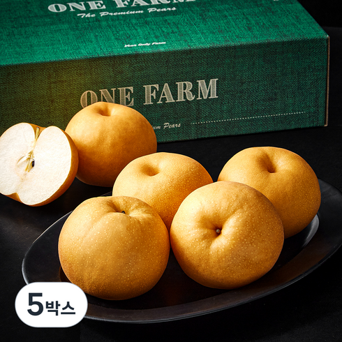 원농산 (특)왕배 선물세트, 5kg(5~7과), 5박스