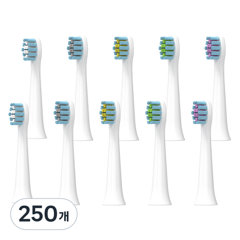 SKY 케어 C타입 충전식 소닉 음파 전동칫솔 교체용 칫솔모, SKY-CA-B10p_ST10, 250개