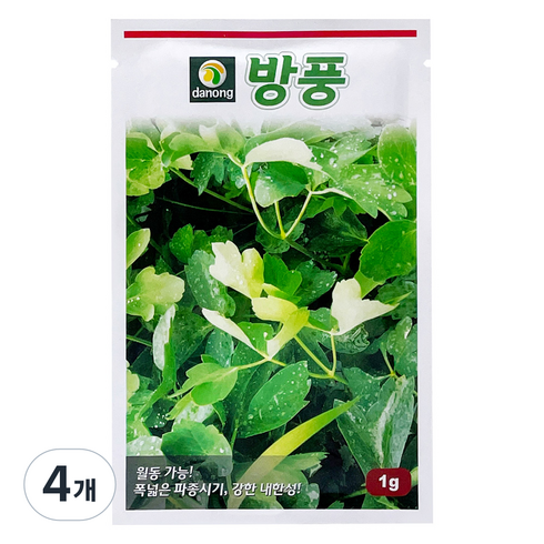 다농 방풍 씨앗 1g, 4개
