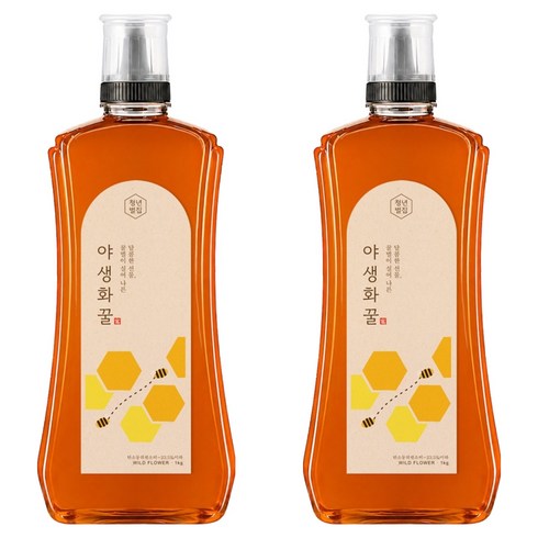 청년벌집 야생화꿀, 1kg, 2개