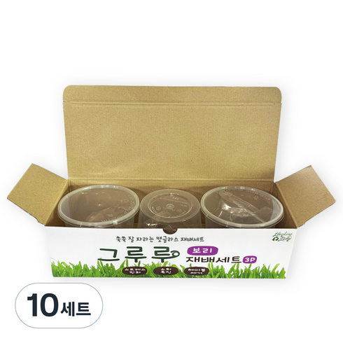 힐링타임 그루루 캣글라스 재배세트 3p, 보리, 10세트