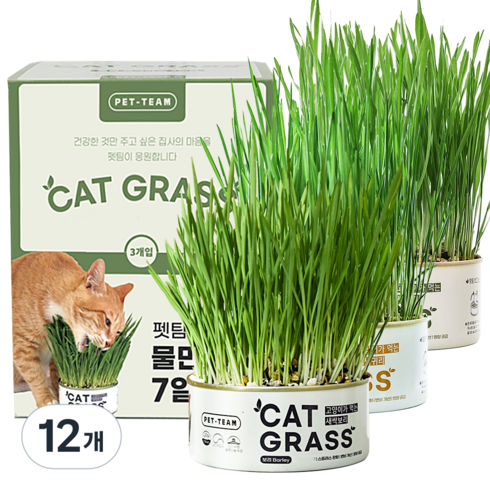 펫팀 고양이 캣그라스 간식, 혼합맛(새싹보리/새싹귀리/새싹밀), 35g, 12개