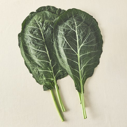 유기농 녹즙용 케일, 500g, 1개