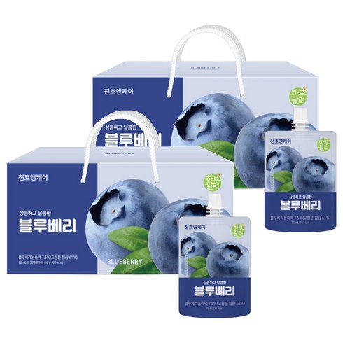하루활력 상큼하고 달콤한 블루베리즙, 70ml, 60개