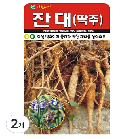 아람씨앗 잔대 씨앗 1000립, 2개