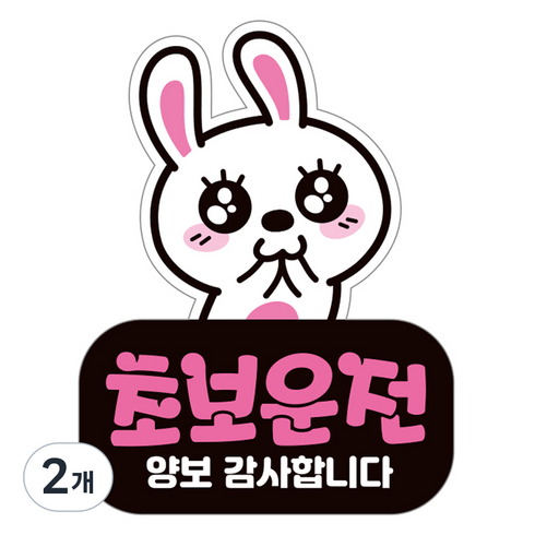 제제데코 자동차 탈부착 자석 고휘도 반사 초보운전 스티커 시트지 LC006, 혼합색상, 2개