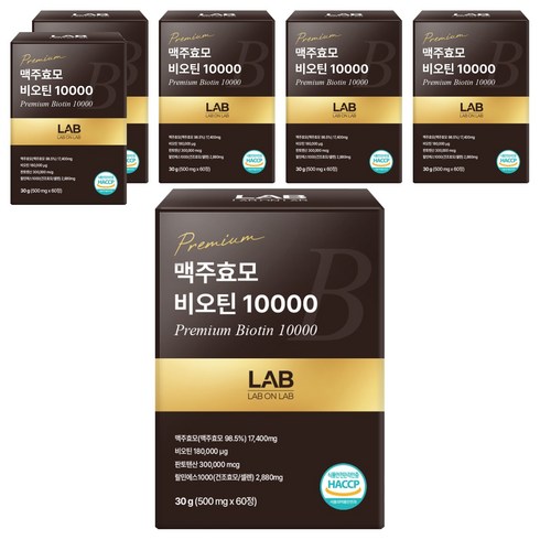 랩온랩 맥주효모 비오틴 10000, 60정, 6개
