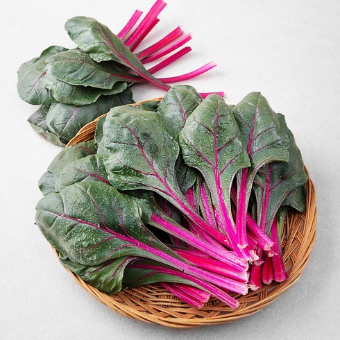 적근대 국내산, 1kg, 1개