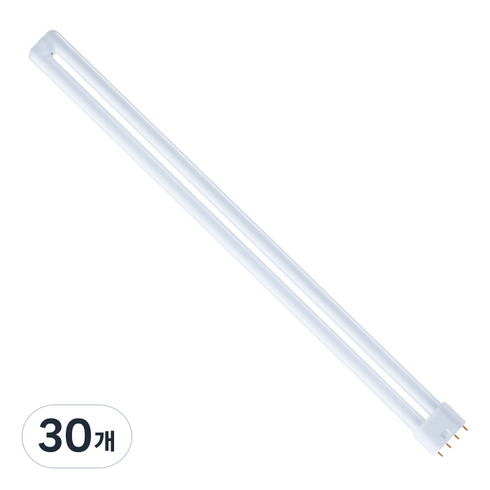 GE라이팅 삼파장PL 55W 주광색, 30개