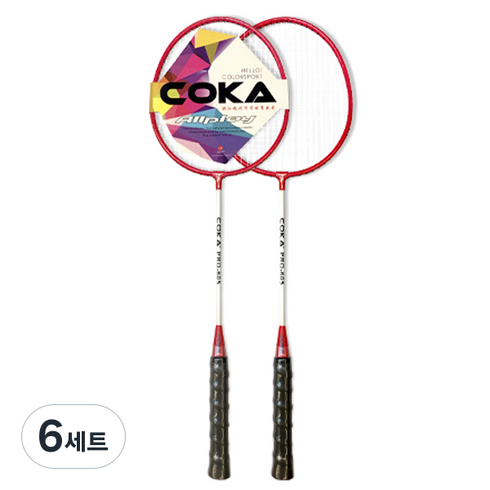 배곧인터내셔널 탄성 좋은 배드민턴 라켓 2p + 가방 세트 레드, PRO-605, 6세트
