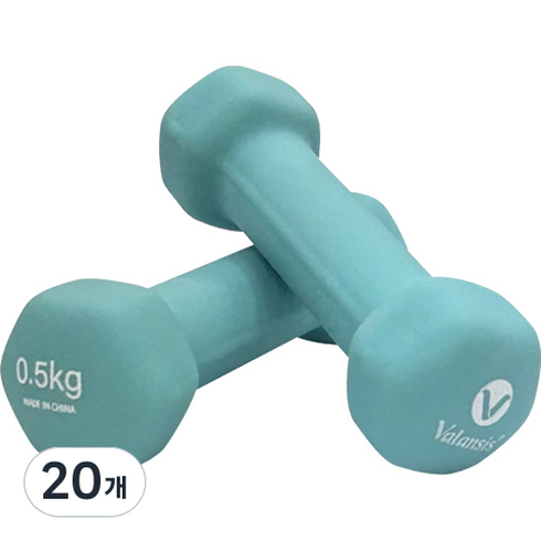 밸런시스 미용아령 민트, 0.5kg, 20개