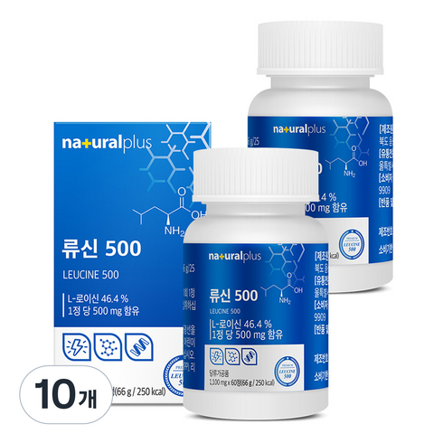 내츄럴플러스 류신 500 66g, 60정, 10개