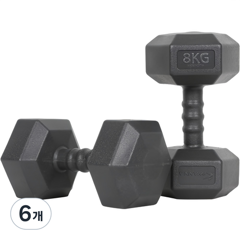 아이워너 맨즈 육각아령 블랙, 8kg, 6개