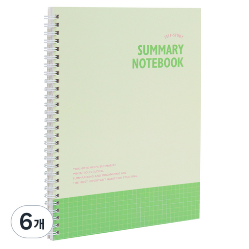 인디고 혼자공부 요점 노트, 그린, 6개