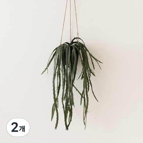 플라우스302 조화 립살리스루비 행잉 화분 65cm, 2개, 혼합색상