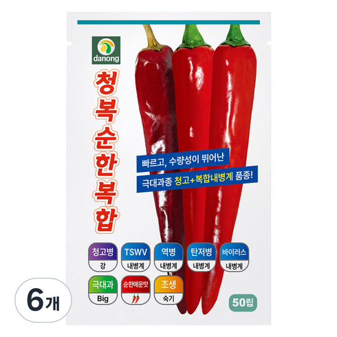 다농 청복순한복합 고추 씨앗 50p, 6개