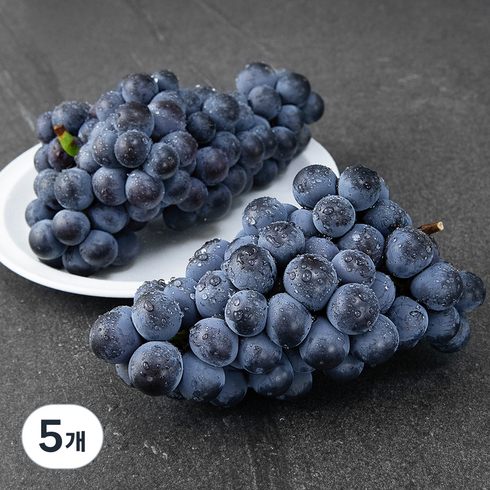 아주마 영동 상주산 캠벨포도, 1kg, 5개
