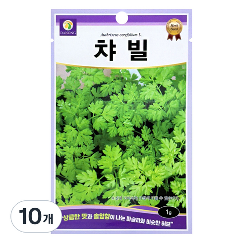 다농 챠빌 씨앗 1g, 10개