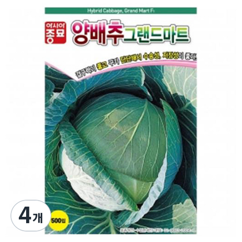 아시아종묘 양배추 그랜드마트 씨앗 500립, 4개