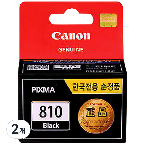 캐논 잉크 PG-810, 검정, 2개