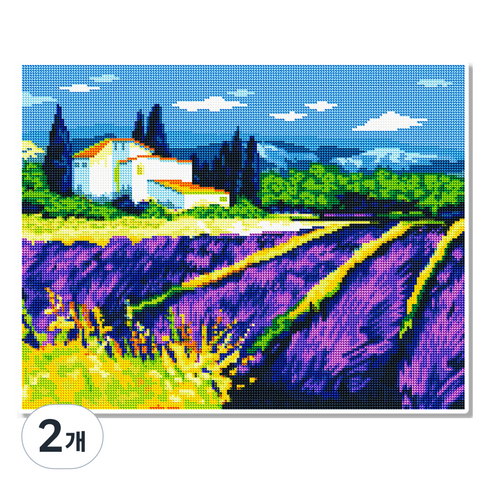 모모픽스페인팅 캔버스 액자 보석십자수 40 x 50 cm, 라벤더 꽃밭(DJ06), 2개