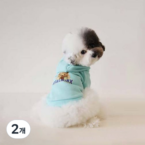 레어밍스 강아지 후드탑, 민트, 2개