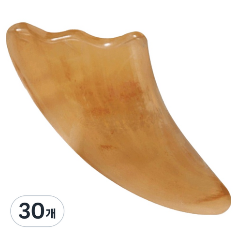포켓마스터 괄사 9cm, 30개, 일반A