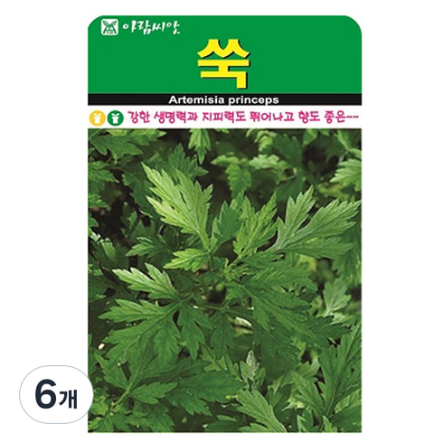 아람종묘 야생쑥 산쑥 씨앗, 6개