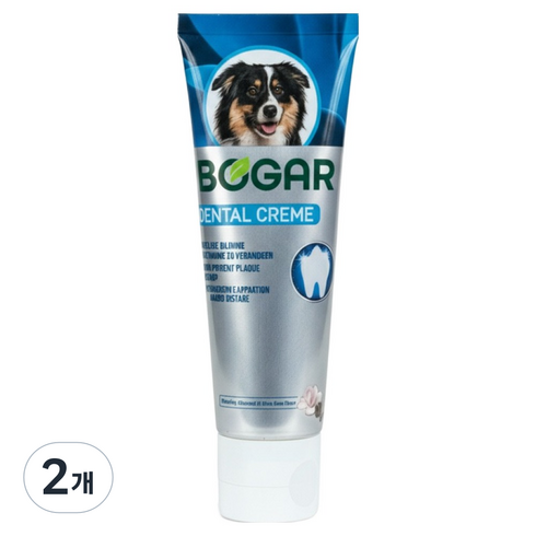 보가덴트 덴탈 크림 치약, 75ml, 2개